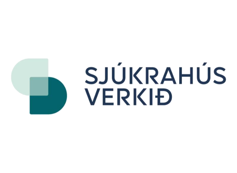 Sjúkrahúsverkið